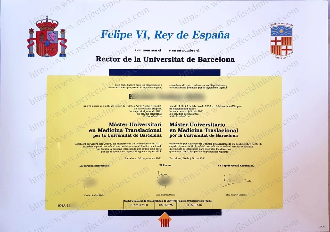 Fast to Get the Universidad de Barcelona fake degree.
