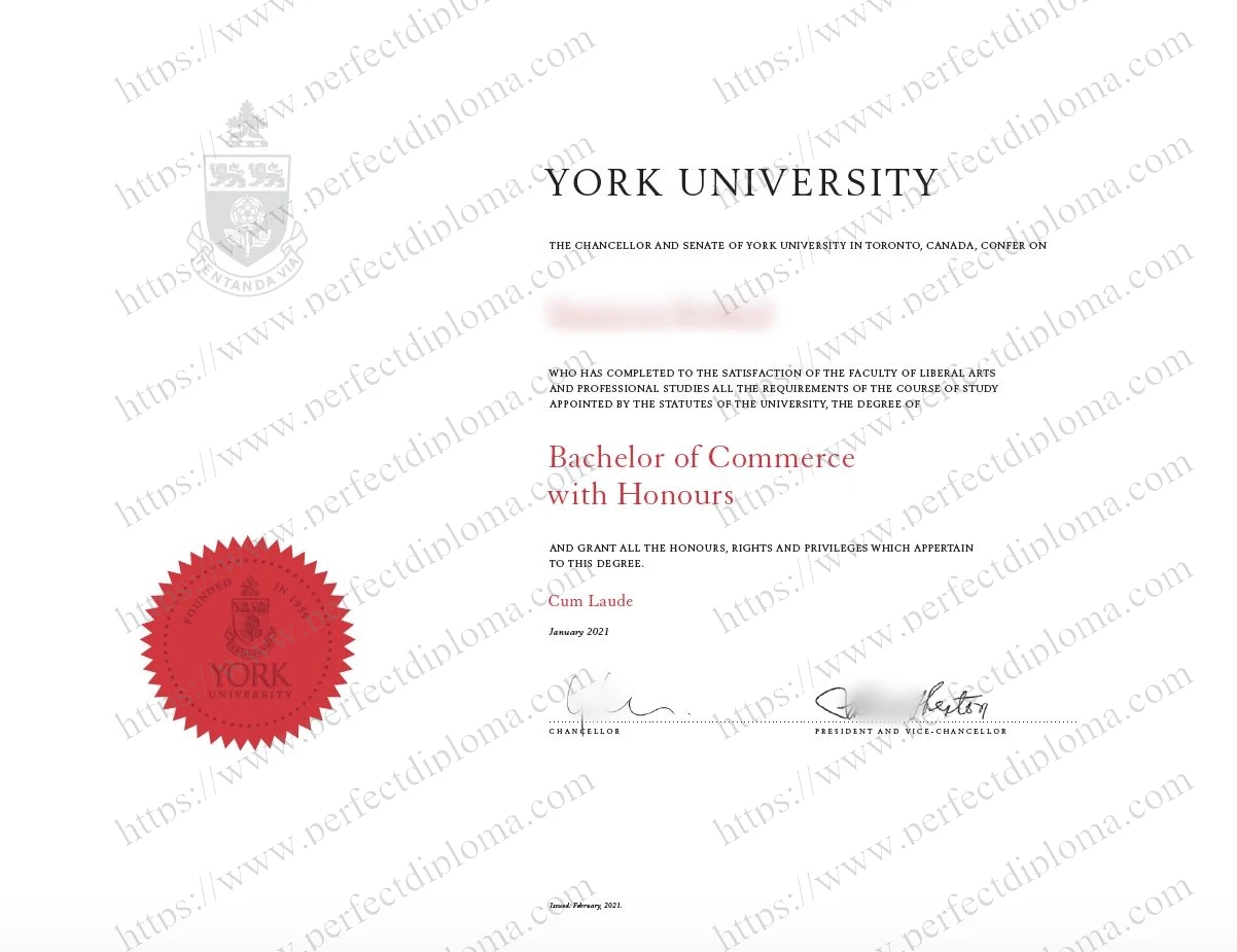 How do I get a fake York University diploma?