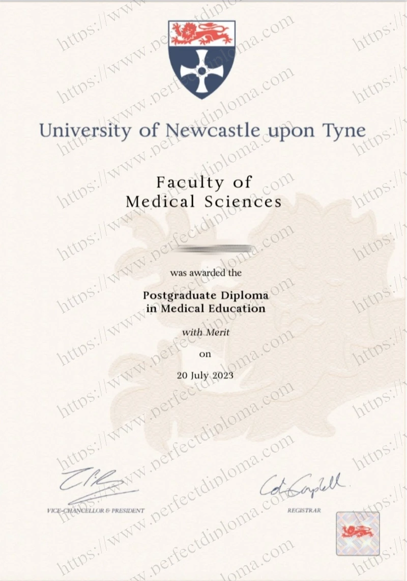 How do I order a 100% replica The University of Newcastle diploma online?